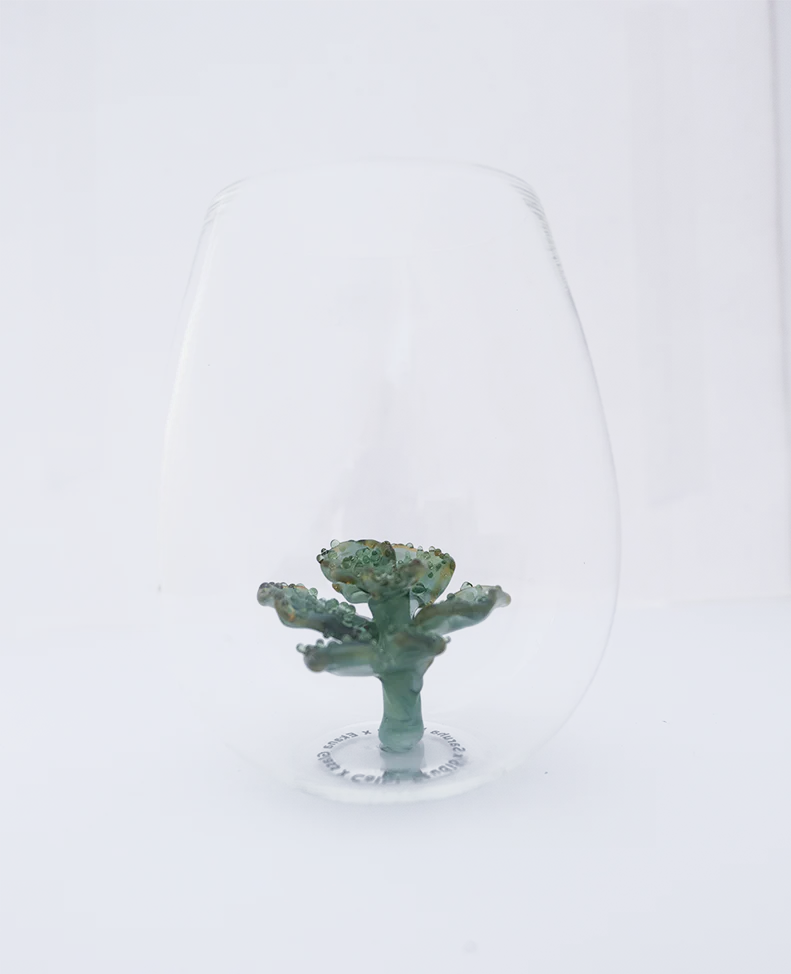 Cabbage 
Coral