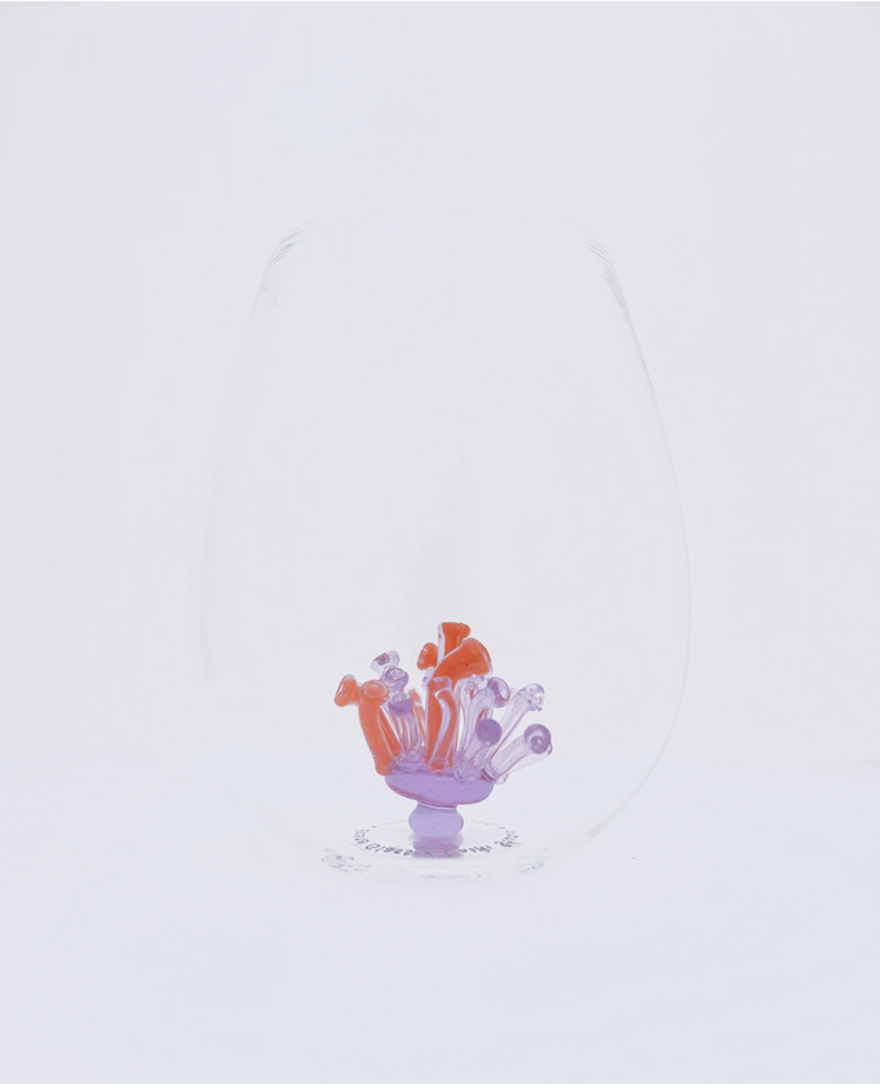 Pipe Coral